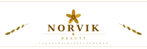 Norvik-Pro